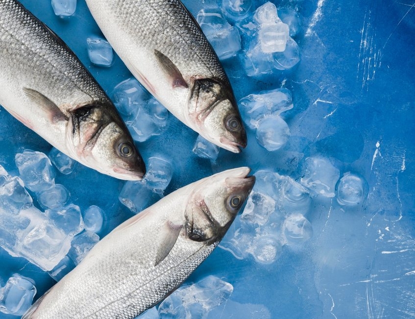 albal-bar-poisson-glace-content