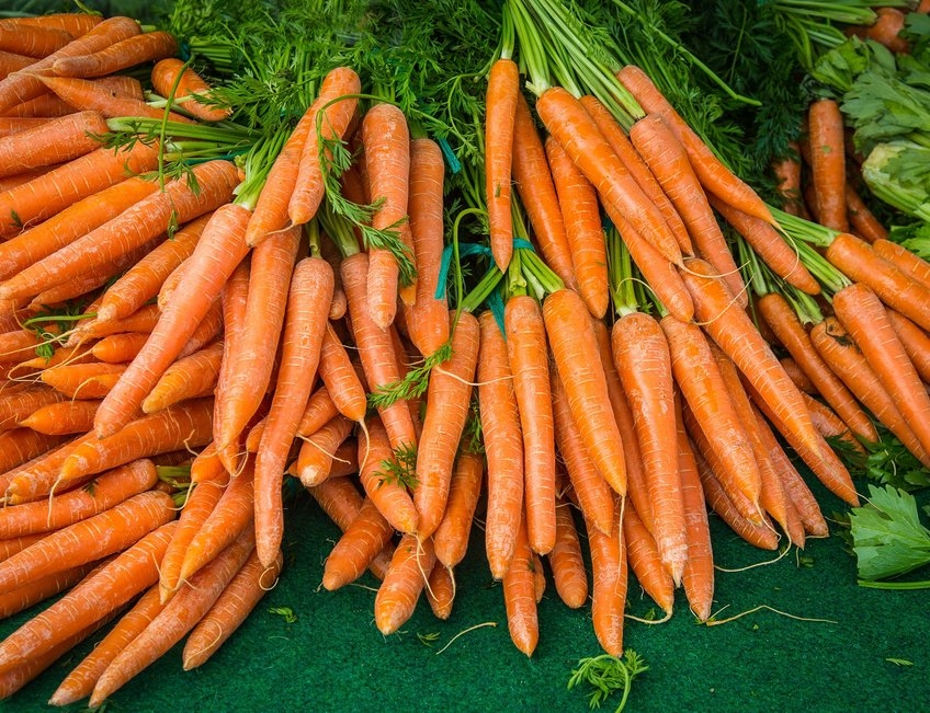 albal-bottes-de-carottes-sur-marche-content