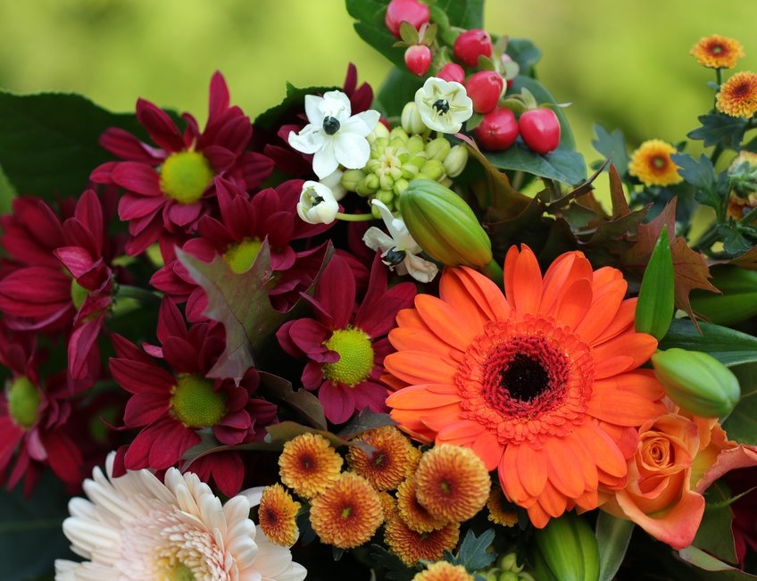 albal-bouquet-fleurs-rouges-et-orange-content