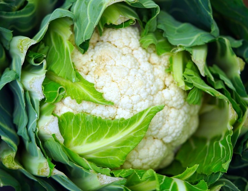 albal-chou-fleur-frais-avec-feuilles-vertes-content