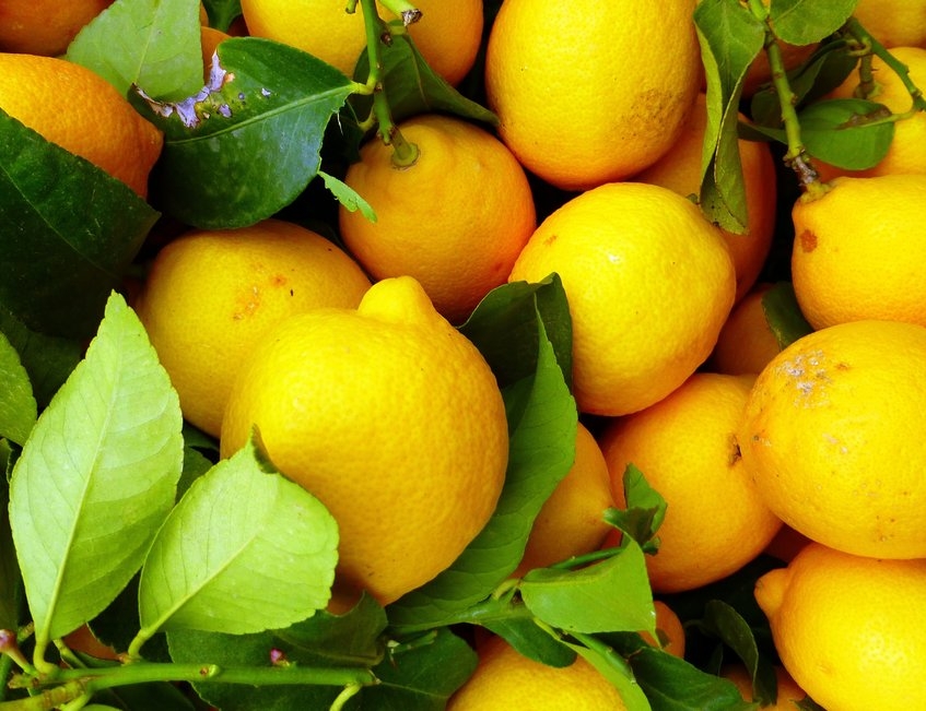 albal-citrons-avec-feuilles-content