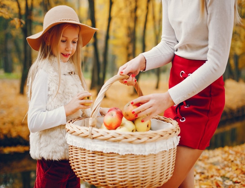 albal-cueillette-de-pommes-en-automne-content