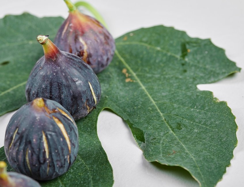 albal-figues-fraiches-sur-une-feuille-content