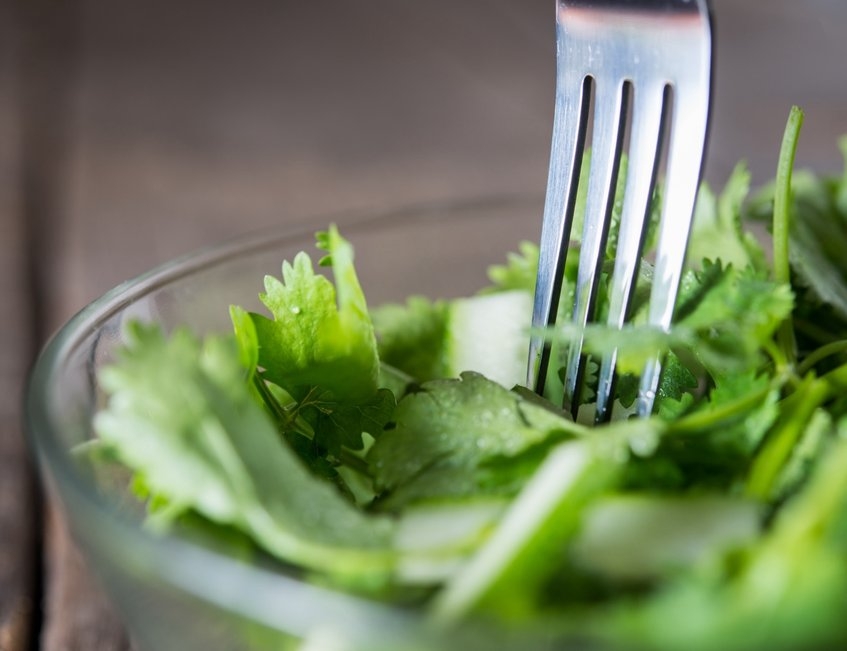 albal-fourchette-dans-salade-verte-content