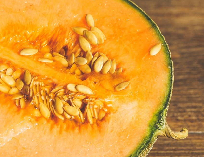 albal-melon-demi-planche-content